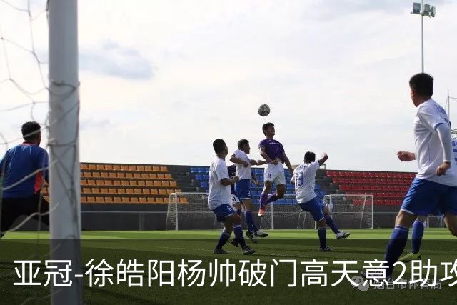亚冠-徐皓阳杨帅破门高天意2助攻 申花2-1淡滨尼流浪者